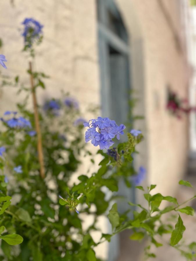Bianco Calce - Ostuni Villa Exterior foto